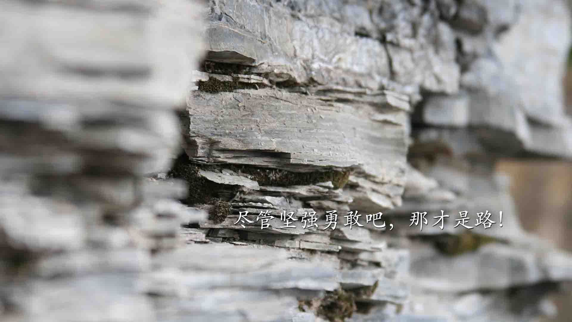 开云官方-史上最大“黑马荣耀”：从无名小将到巨星巅峰，最大的黑马