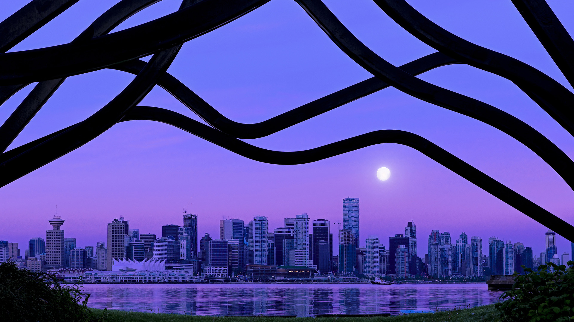 女子排球亚洲杯中国队成功卫冕,女子排球亚洲杯中国队成功卫冕冠军是谁