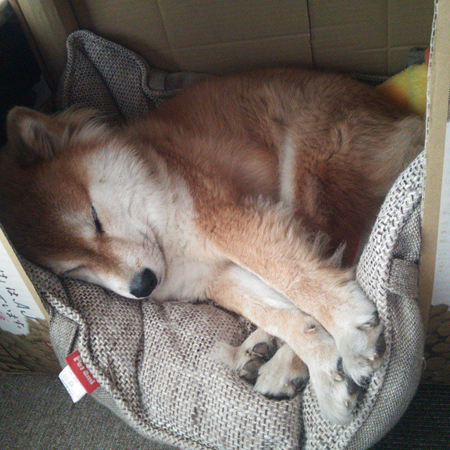 开云·体育官网-特色“绿色+智慧”场馆“行业标杆”不断涌现，行业基础不断夯实