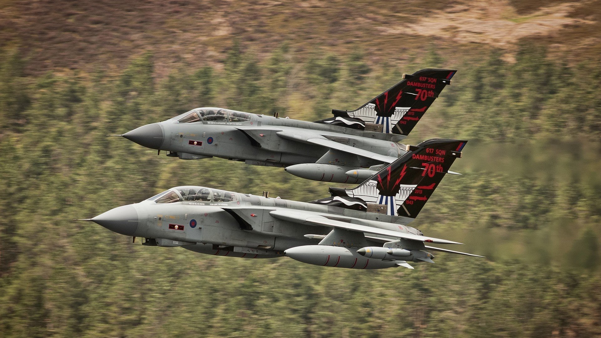 Kaiyun(中国)开云-特色篮球装备引领行业新潮流，推动青少年篮球文化发展，篮球特色学校的做法及特色