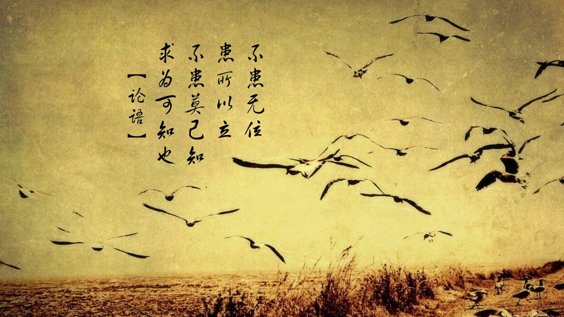 kaiyun开云·官方网站-上海久事替补球员表现超预期，今年上海久事篮球队队员名单