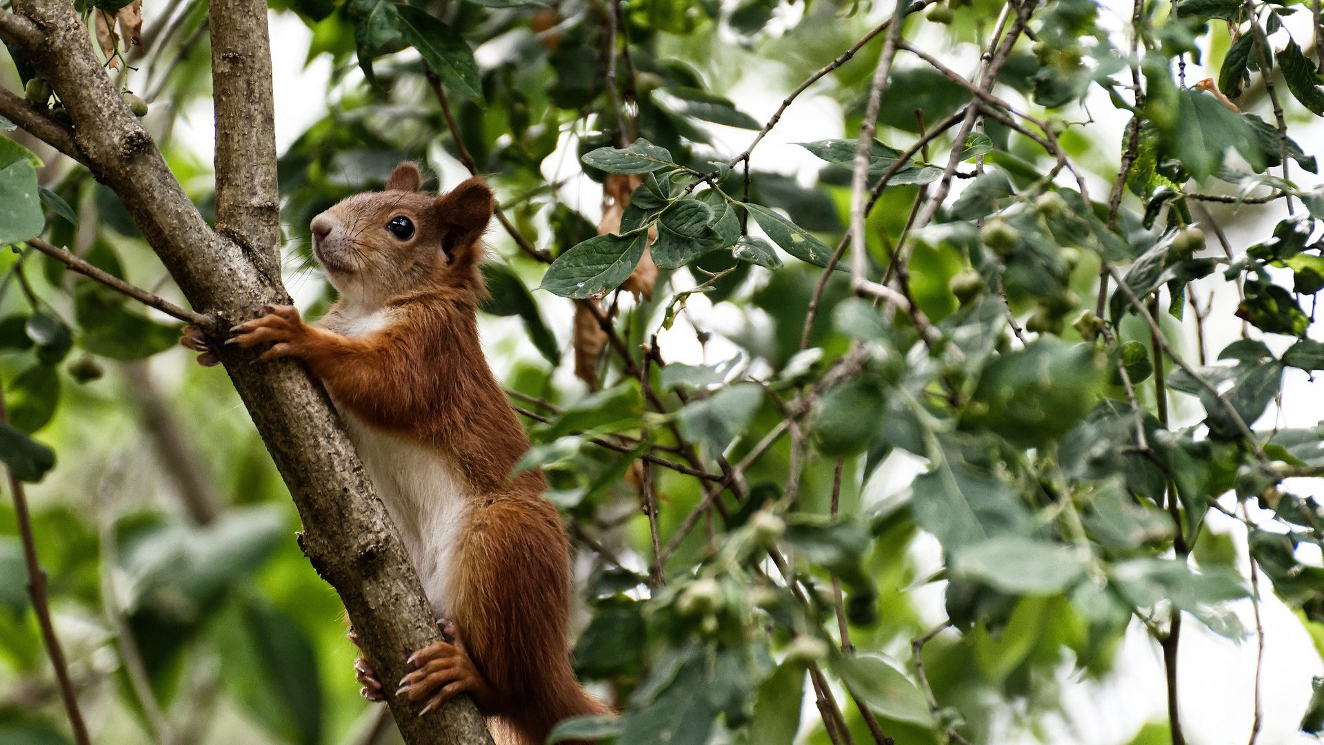 开云官方-《独行侠替补席贡献有限，球队深度成疑》，独行侠球队阵容