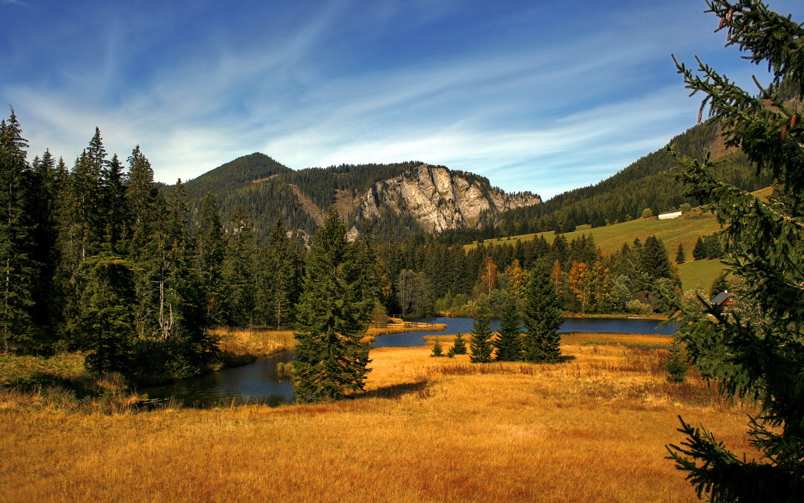中国足球的青少年教练员培养机制建设方案实施,中国青少年足球队教练