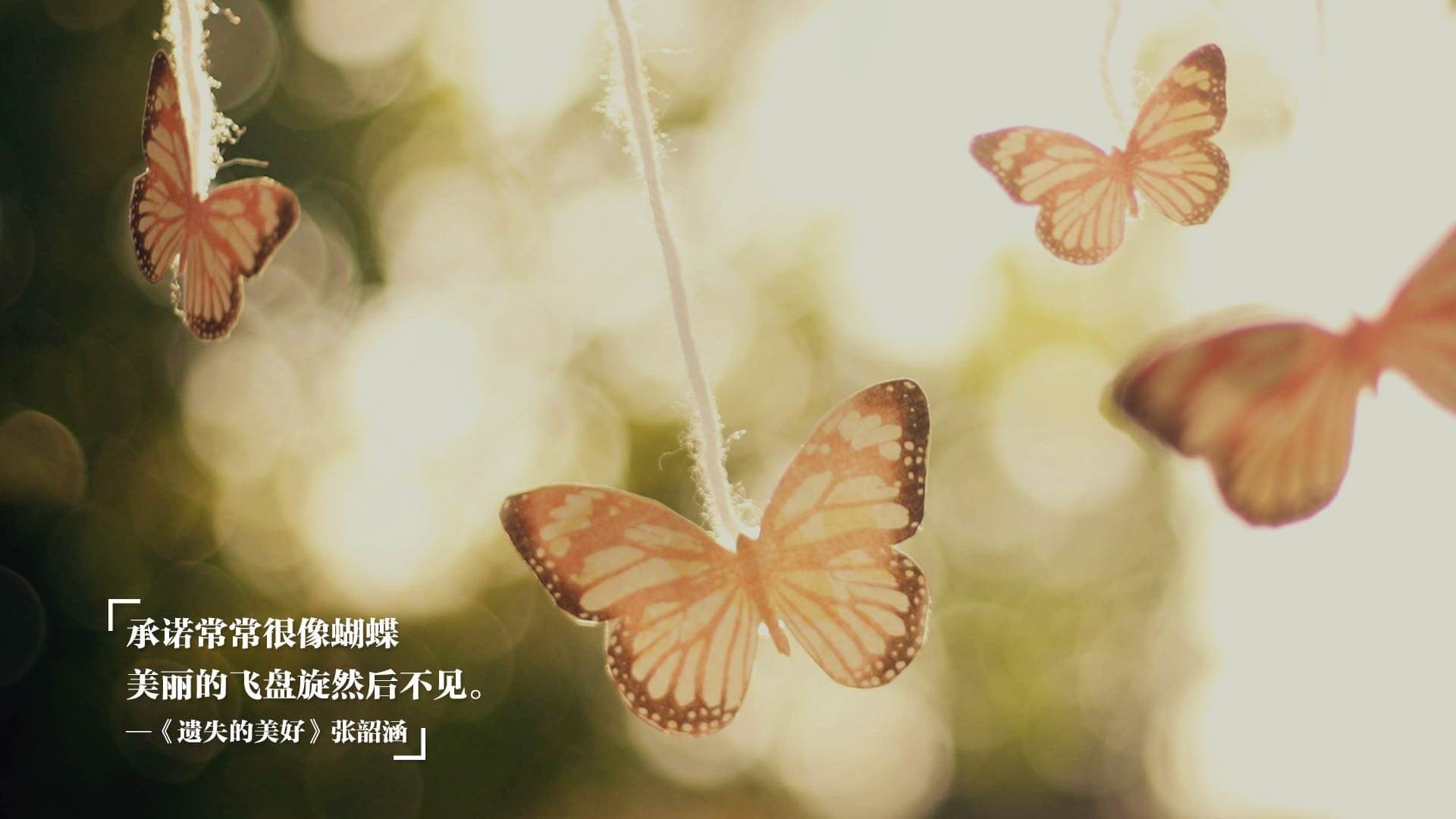 利物浦门将获称赞,英超最佳守门员,利物浦的英超球队