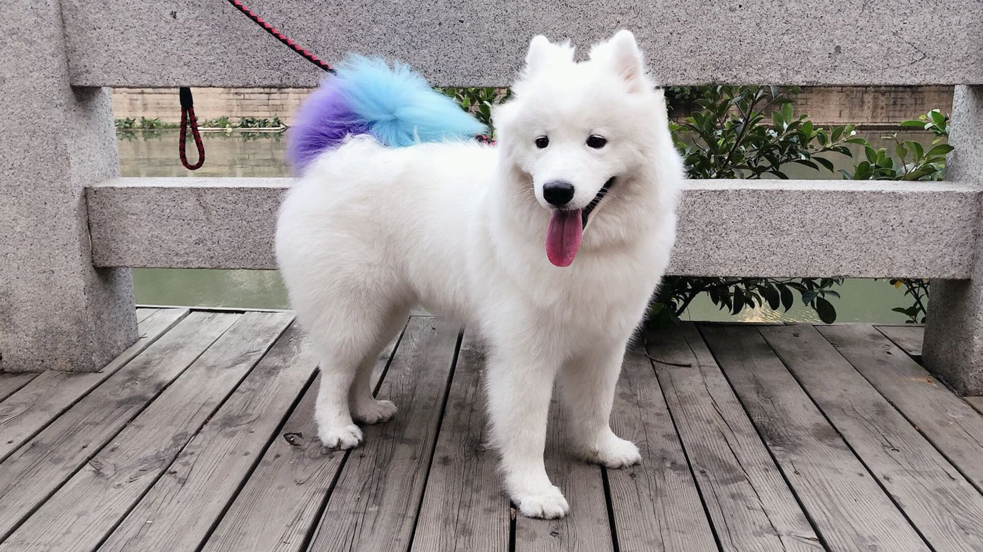 kaiyun网站-国家队篮球战术多样化探索，篮球队国家队