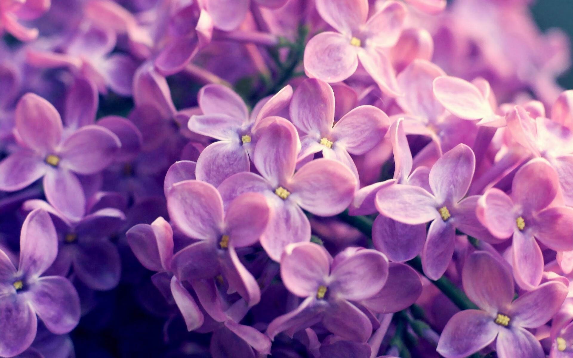 国民队新赛季目标明确,国民队新赛季目标明确了吗