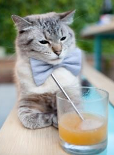 KAIYUN 中国大陆-巴列卡诺客场落败，需要强化防守，巴列卡诺青训