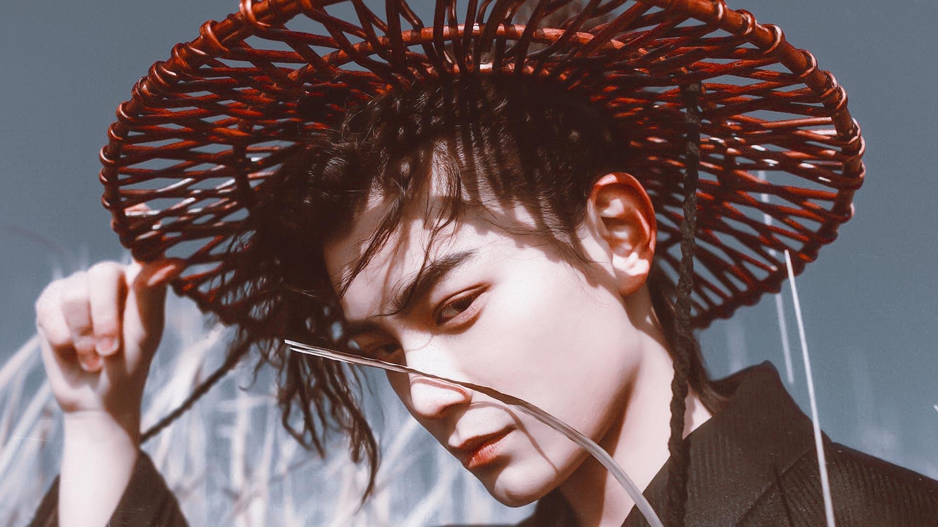 开云官网-德国羽毛球选手在比赛中展现出顽强拼搏精神，德国羽毛球男单名将