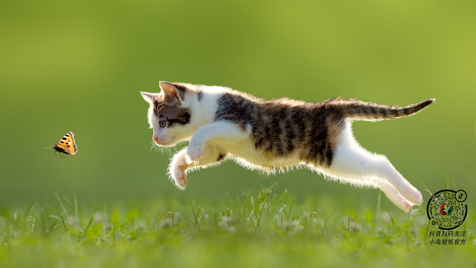 急速突破对方防线,轻松取得胜利,突破快怎么防