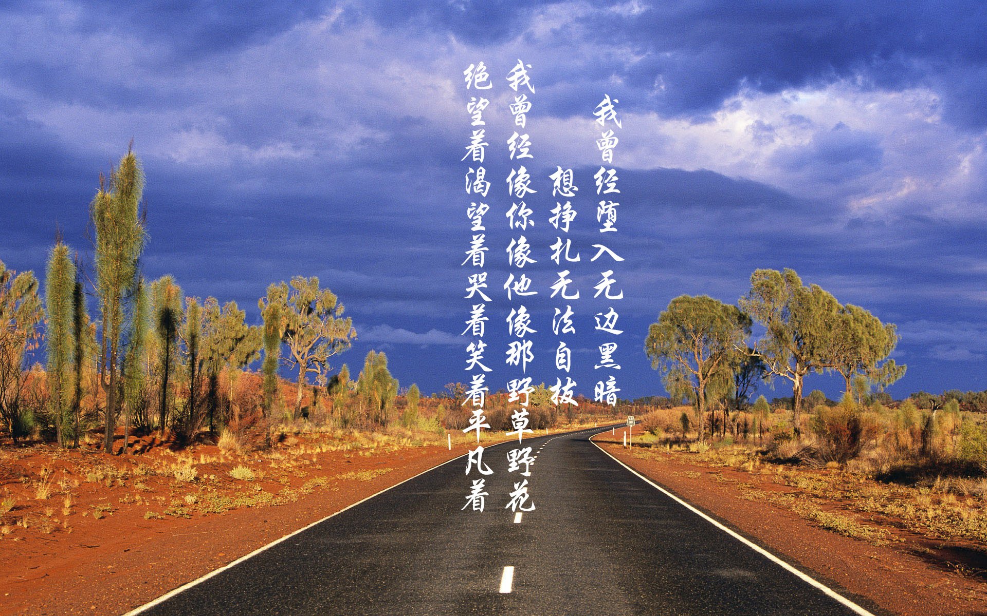 日本队主帅强调团队合作的重要性,日本团体组合