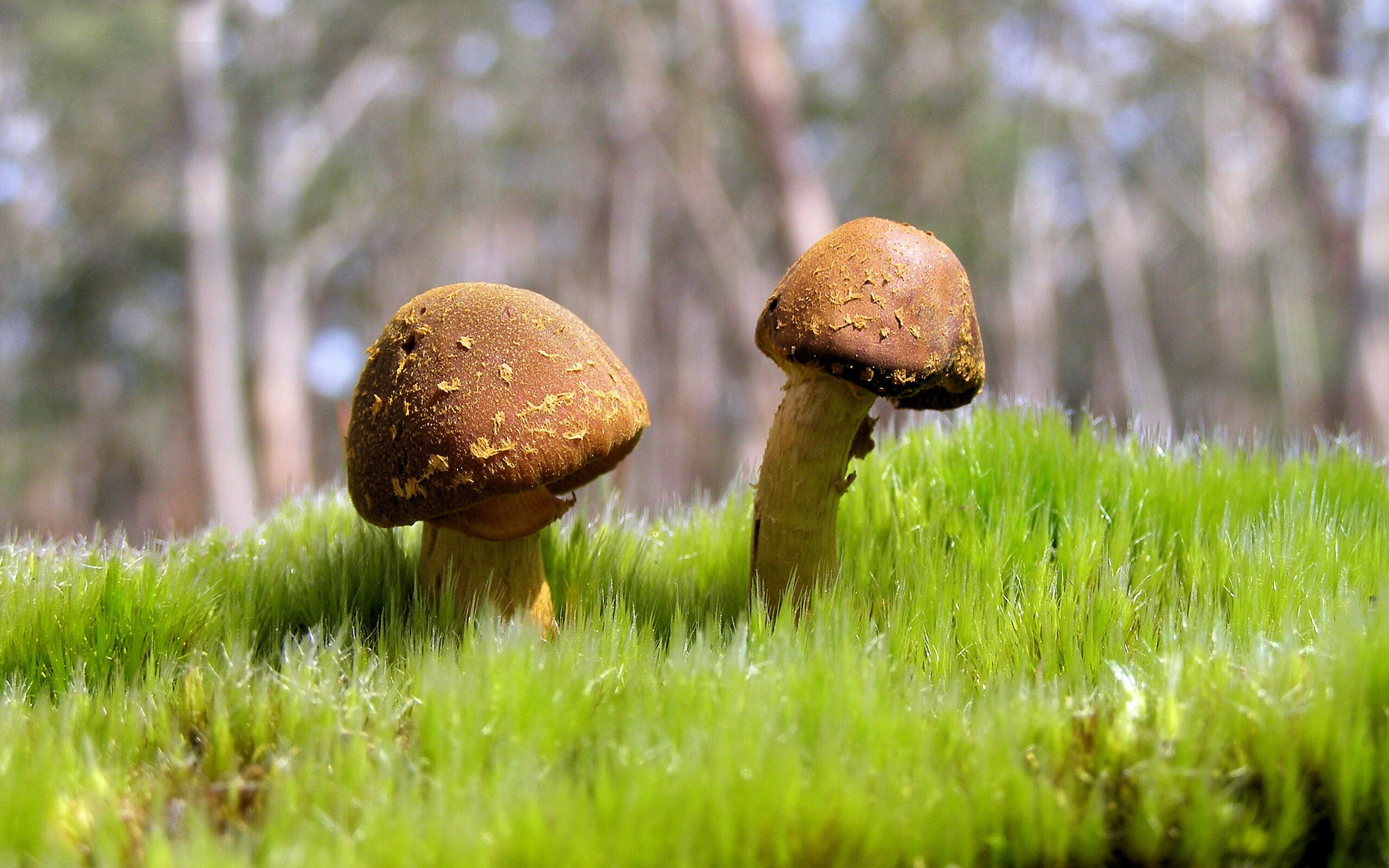 激烈竞技让人心跳加速,球员们在场上展现实力,竞技的话