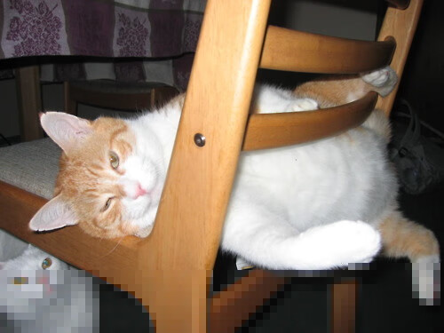 皇马主场强势碾压赫塔费,贝林厄姆破门,皇马比赛