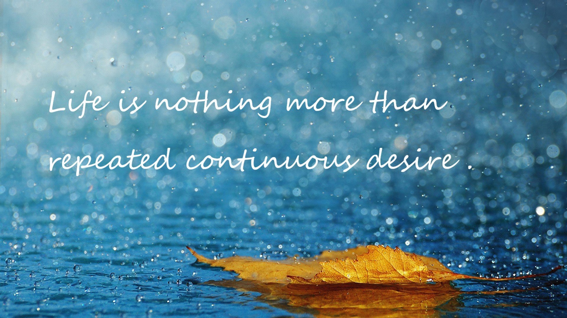 训练场标准是否应向欧战参赛标准靠拢,训练场算不算参赛时间