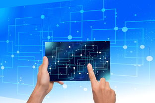 Kaiyun APP-中国篮球教练员战术执行力提升路径及方法研究，如何提高篮球教练员水平