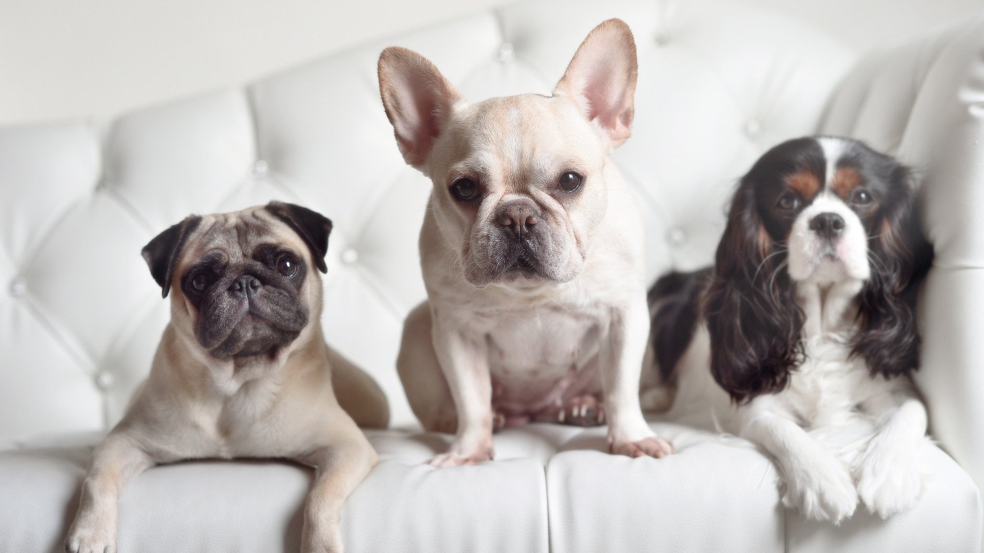 “滚球运动:成都三叉湖赛场引爆运动热潮”