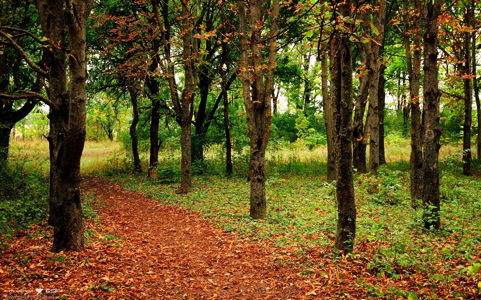 中国女篮保持高压防守形成压制态势，中国女篮保持高压防守形成压制态势的是谁