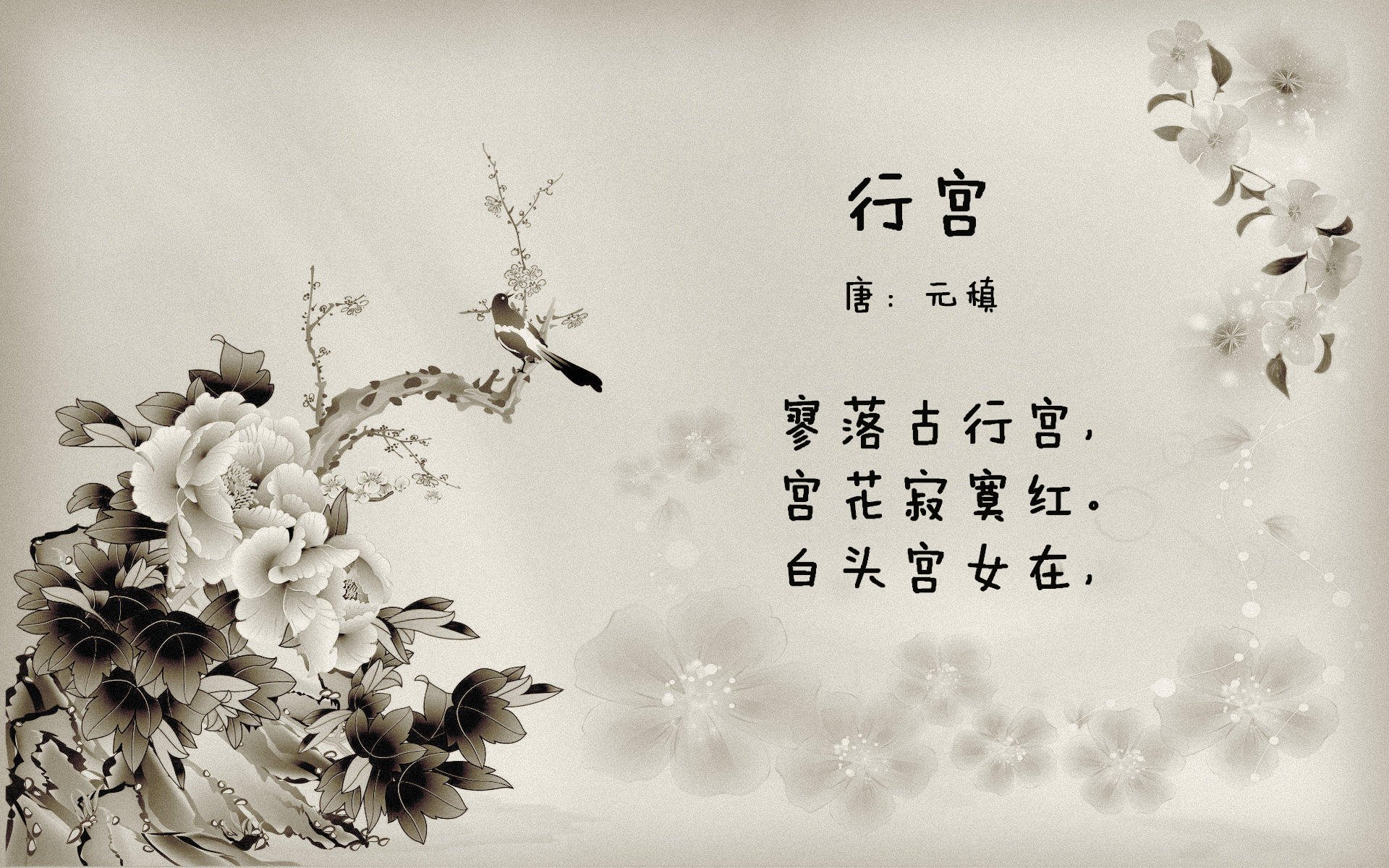 奥运帆船中国队重点演练复杂风浪条件下技战术,中国帆船奥运冠军