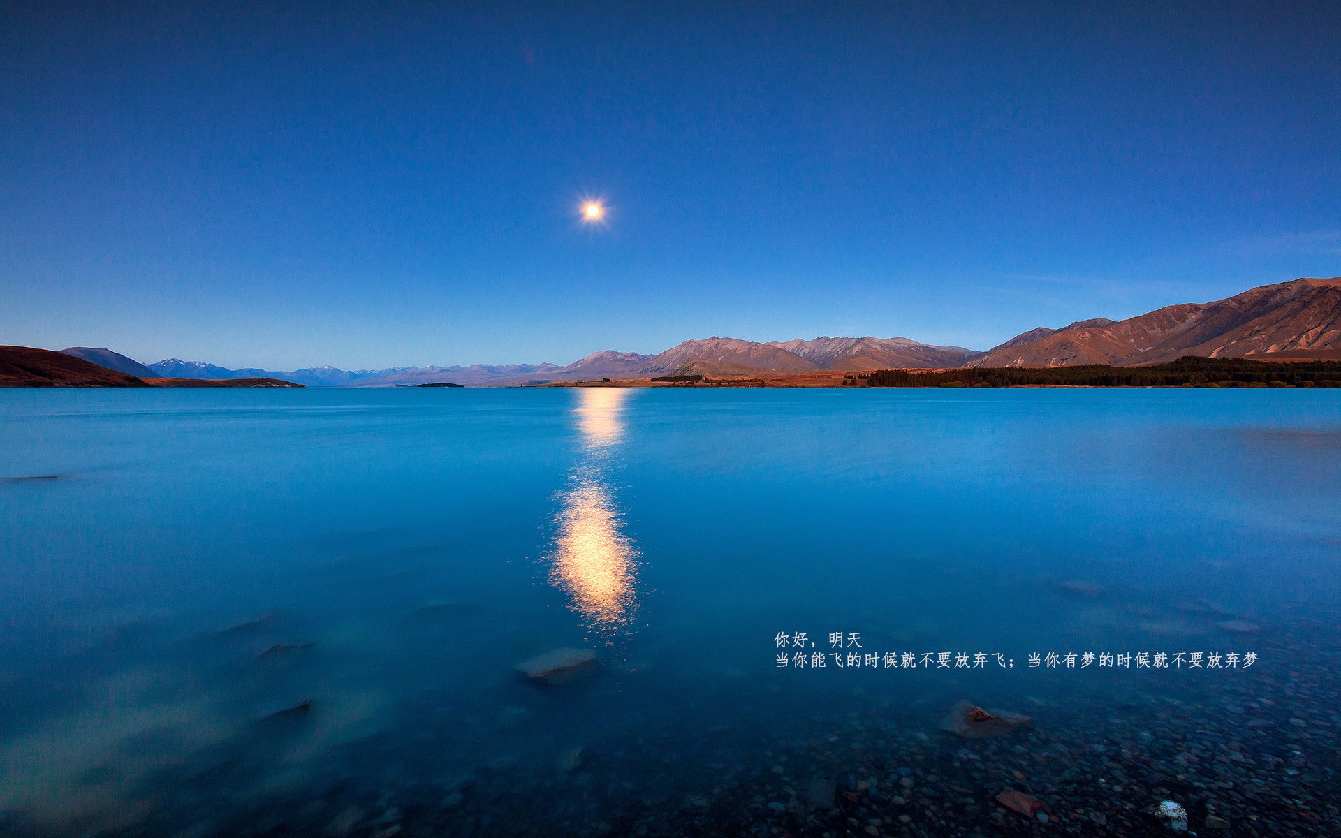 网球黄金组合重返赛场 再度冲击大满贯,网球gold