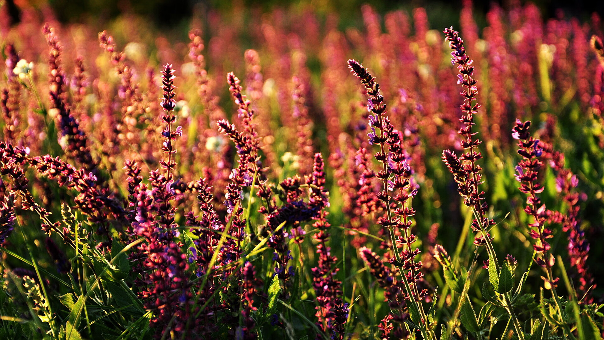 开云官网-训练方式全面升级体能要求大幅提升，提升体能训练方法