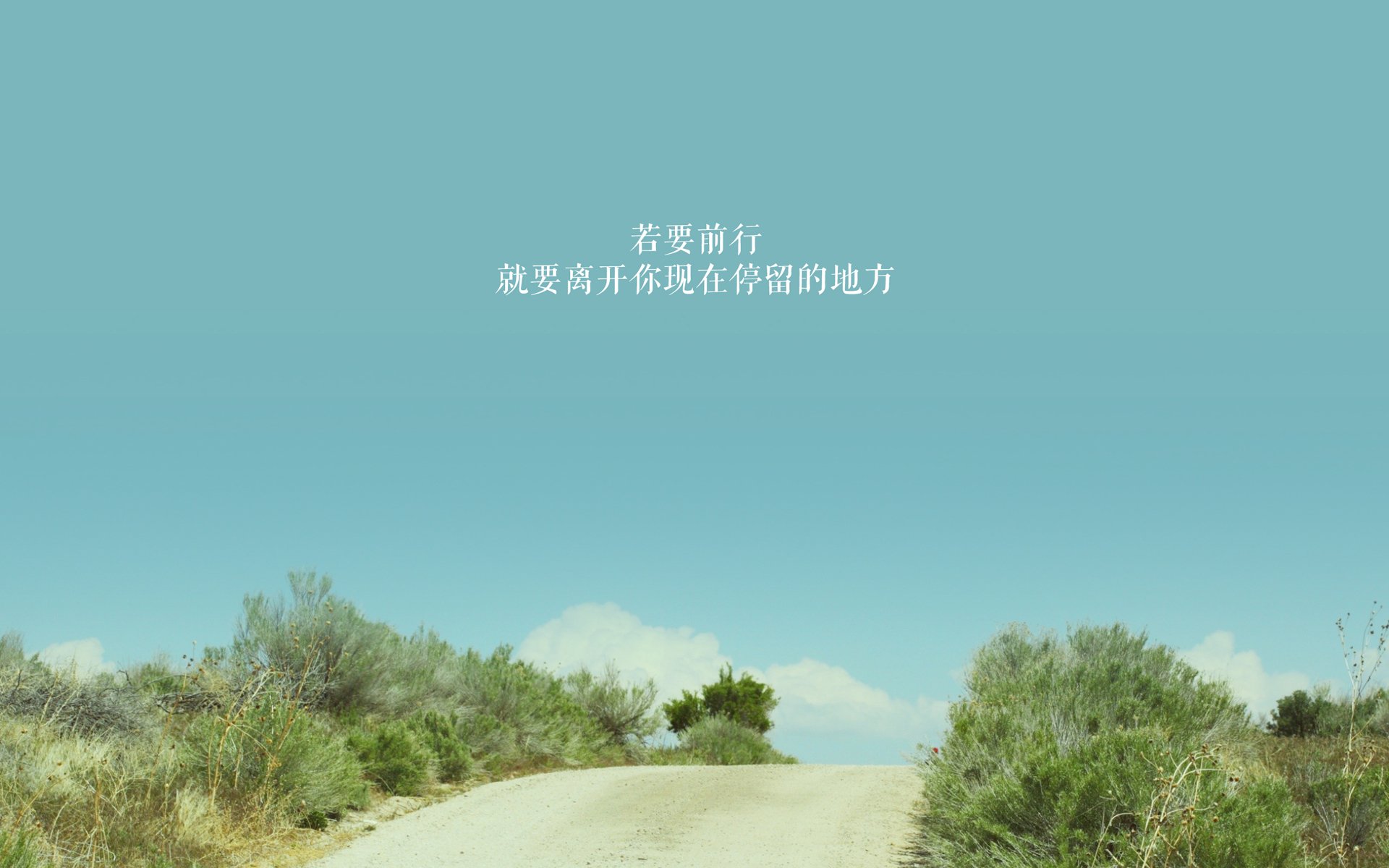 “安赫尔·巴尔博萨的攻守兼备与快节奏突破,成就美洲狮队的制胜利器”