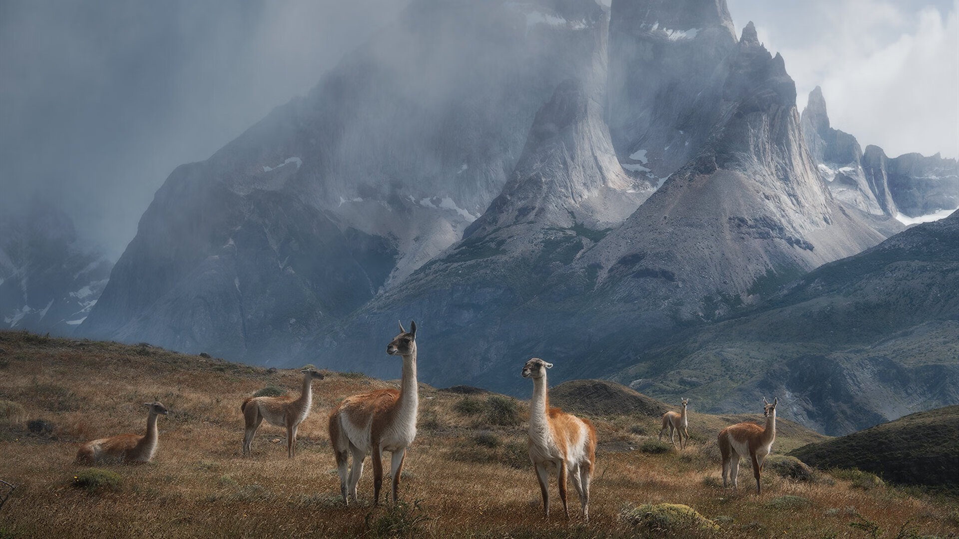 体育新闻中心更新国家队比赛服装图鉴及合作品牌名录,2021国家队服装