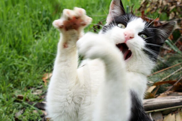 体育新闻中心更新国家队比赛服装图鉴及合作品牌名录,2021国家队服装