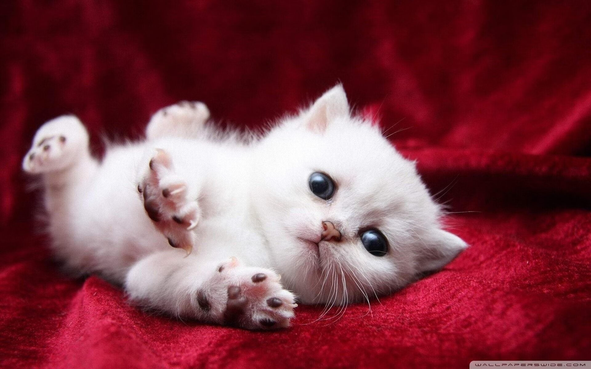 开云中国-新兴足球强国崛起，亚洲竞争格局不断变化，亚洲足球现状