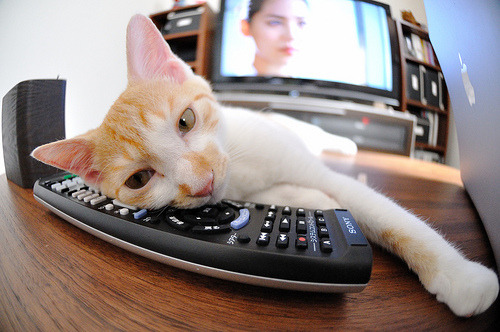 梅西在世界杯预选赛中表现出色,国家队战绩喜人