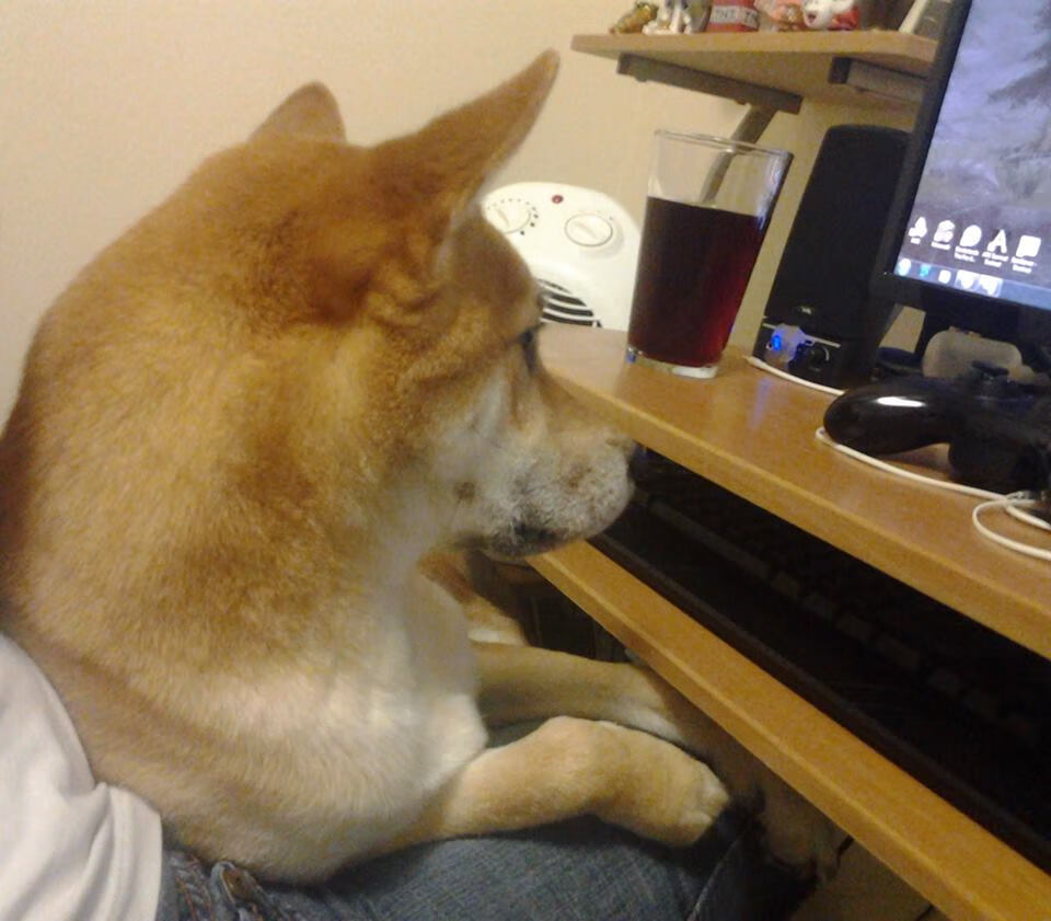 瓜迪奥拉与克洛普再度斗智,战术博弈精彩纷呈