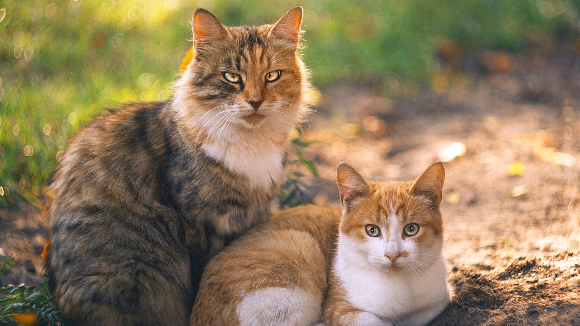虽然队伍规模小,但质量稳定不凡,虽然队伍规模小,但质量稳定不凡的句子