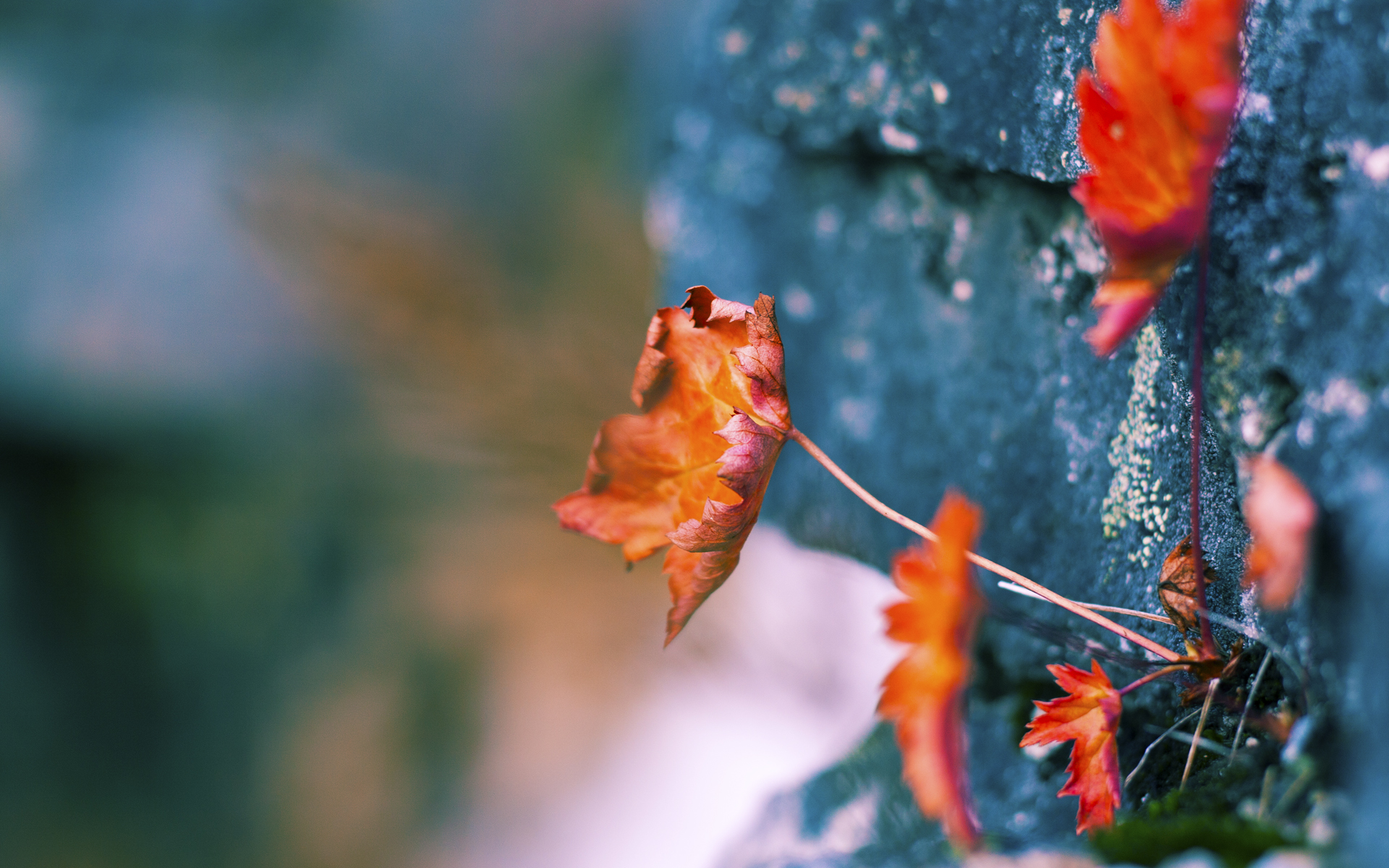 足球射门技术创新研究,足球射门技术的重难点