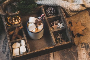 开云app注册-NBA赛季助攻王表现动态，nba本赛季助攻王