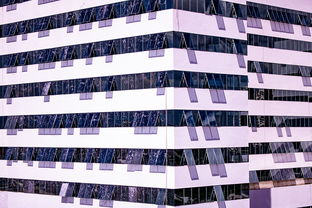 开云体育平台-体育新闻中心推进体育智库体系建设，体育专题报道